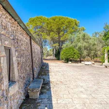 Gospodarstwo wiejskie Tenuta Pizzola