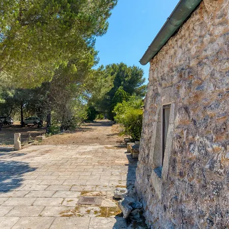 Tenuta Pizzola Gospodarstwo wiejskie *