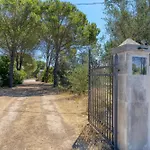Tenuta Pizzola * Nociglia