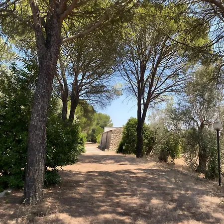 Tenuta Pizzola Nociglia