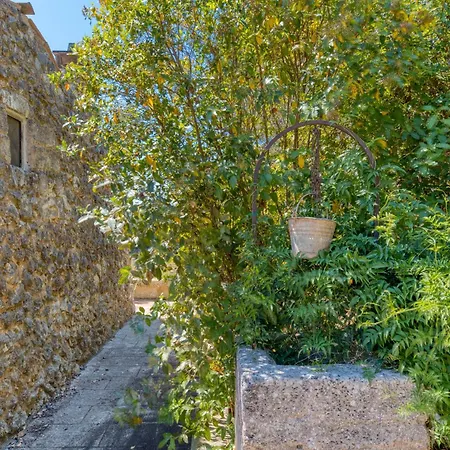 Tenuta Pizzola *